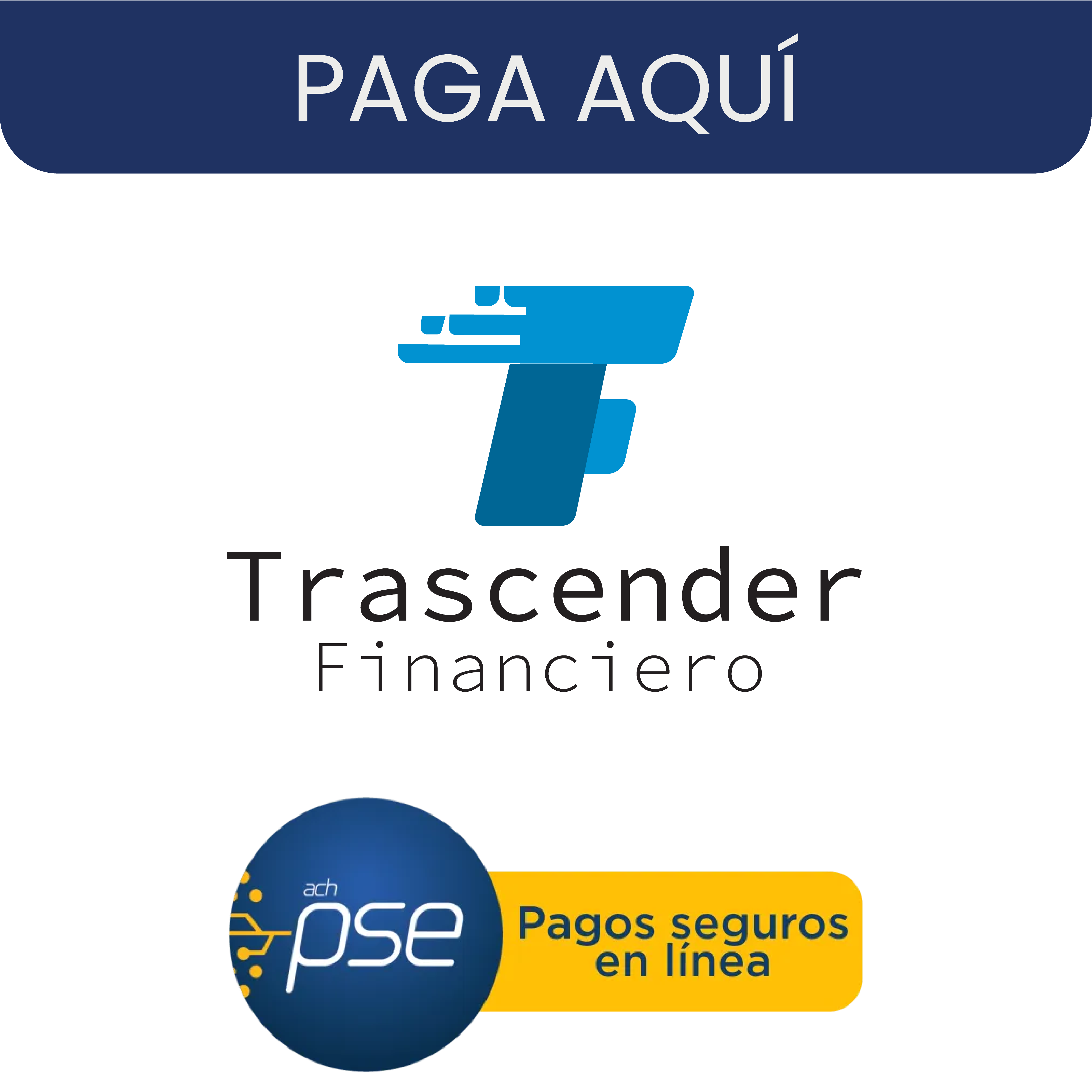 PSE Trascender Logo